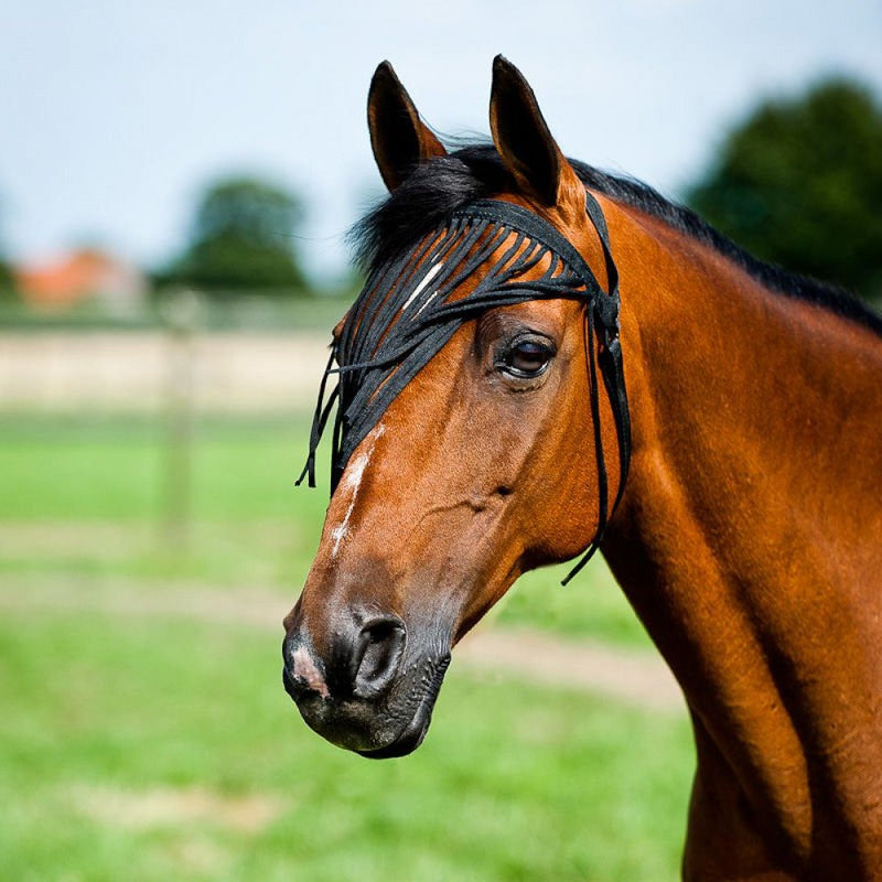 HORZE Simple Lightweight Insect and Fly Veil for Sensitive Horses - No Halter Needed - Black - L - PawsPlanet Australia