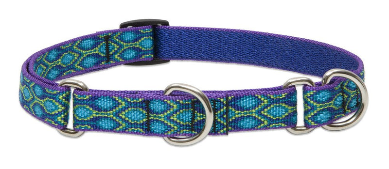 LupinePet Originals 3/4" Rain Song 10-14" Martingale Collar for Small Dogs 3/4"W; 10-14" Neck - PawsPlanet Australia