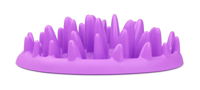 Northmate Catch Feeder For Cats- Size Mini - PawsPlanet Australia