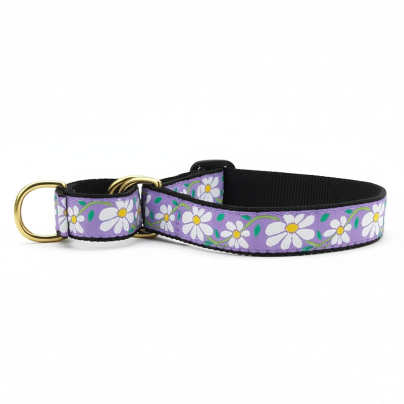 Martingale Collar | Daisy - PawsPlanet Australia