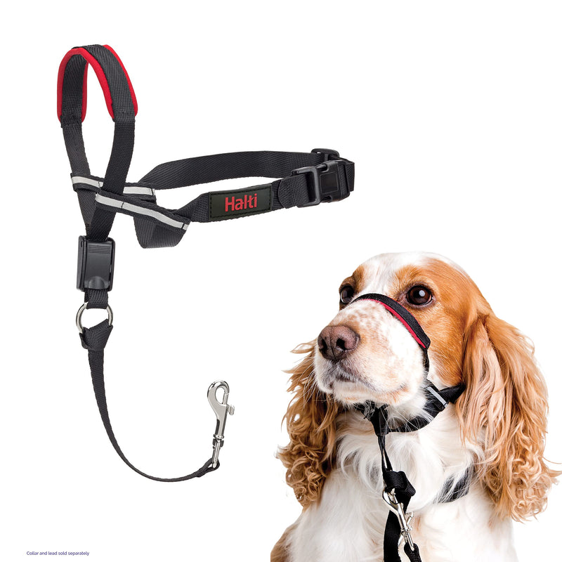 HALTI Optifit Headcollar - To Stop Your Dog Pulling on the Leash. Adjustable, Reflective and Lightweight, with Padded Nose Band. Dog Training Anti-Pull Collar for Medium Dogs (Size Medium) - PawsPlanet Australia