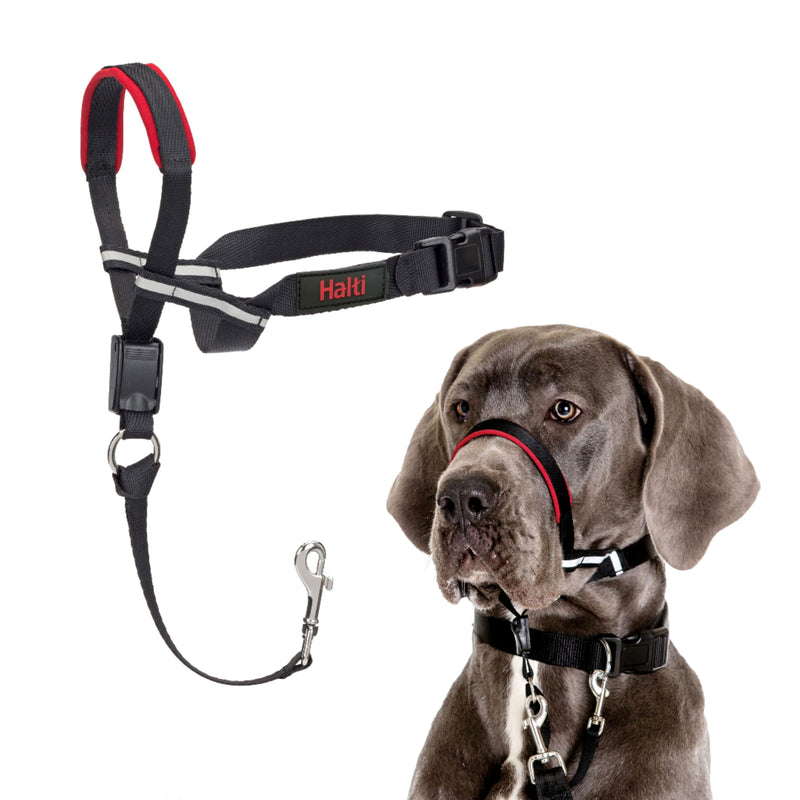 HALTI Optifit Headcollar - To Stop Your Dog Pulling on the Leash. Adjustable, Reflective and Lightweight, with Padded Nose Band. Dog Training Anti-Pull Collar for Large Dogs (Size Large) - PawsPlanet Australia