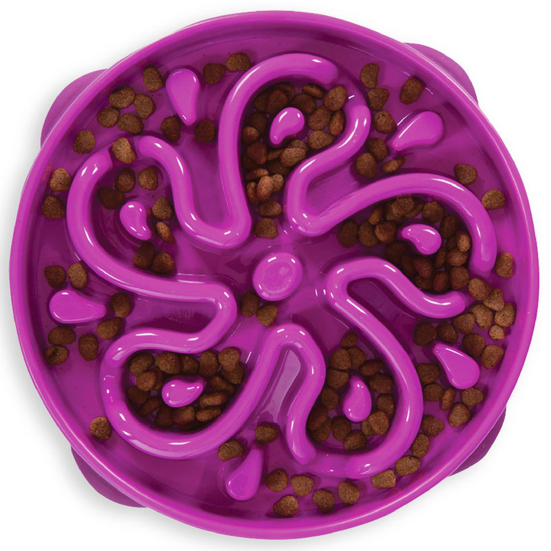 Outward Hound Fun Feeder Slo Bowl, Large Slow Feeder Dog Bowl, 4 Cups, Purple - PawsPlanet Australia
