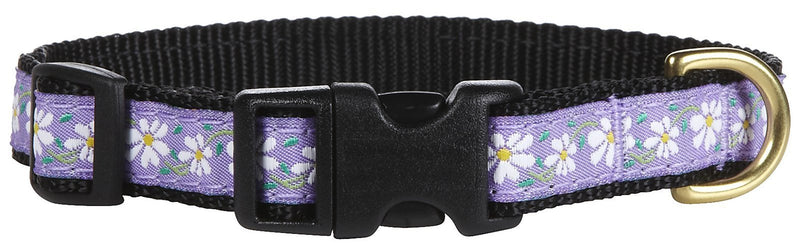 Up Country Daisy Collar - X-Small - PawsPlanet Australia