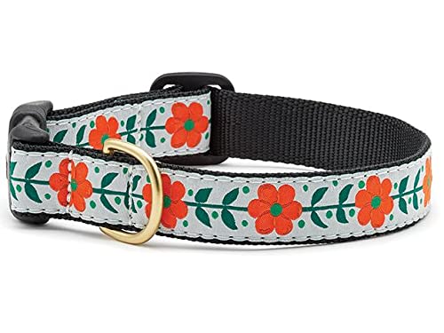 Up Country Orange You Pretty Pattern (Orange You Pretty Dog Collar, Small (9 to 15 Inches) 5/8 Inch Narrow Width) Orange You Pretty Dog Collar - PawsPlanet Australia