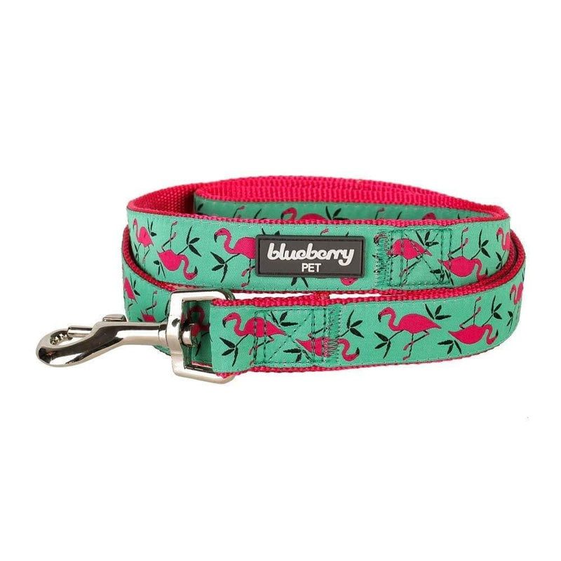 Blueberry Pet Essentials 2 Patterns Durable Pink Flamingo on Light Emerald Dog Leash 5 ft x 3/8" for Puppy, X-Small, Basic Nylon Leashes for Dogs 5' * 3/8" (Pack of 1) - PawsPlanet Australia