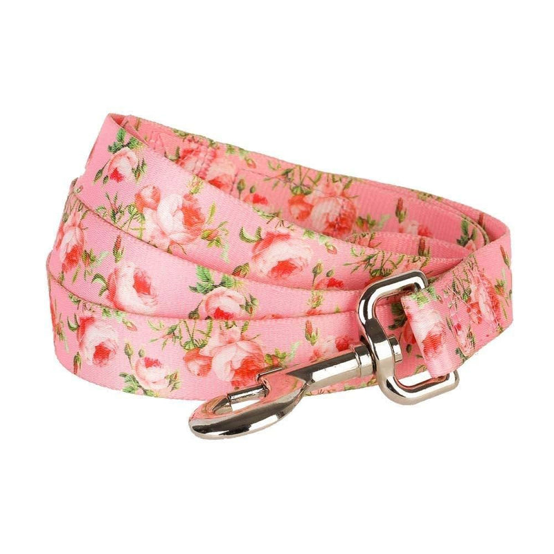 Blueberry Pet 9 Patterns Durable Spring Scent Inspired Floral Rose Baby Pink Dog Leash 5 ft x 3/8" for Puppy, X-Small, Leashes for Dogs - PawsPlanet Australia