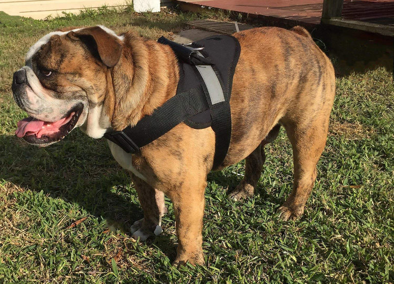 HDP Big Dog Soft No Pull Harness Size:Medium Color:Black Medium Black - PawsPlanet Australia