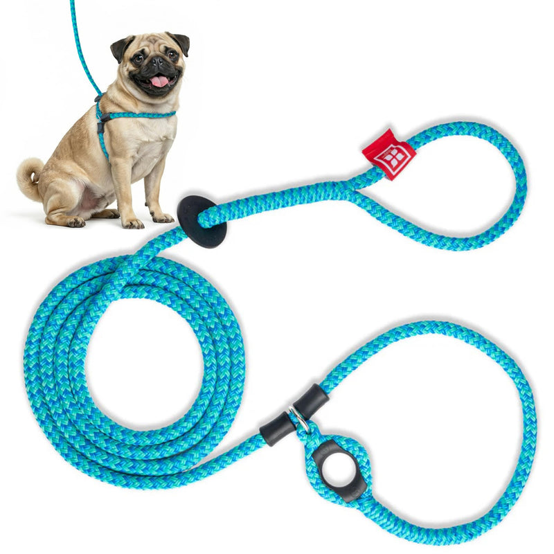 Harness Lead No Pull Dog Harness and Leash Set, Anti Pull Dog Harness for All Breeds and Sizes, One-Piece Cushioned Rope Design Safely Prevents Escaping and Pulling (Small/Medium, Blue/Multi) Small/Medium (14-40 lbs) - PawsPlanet Australia