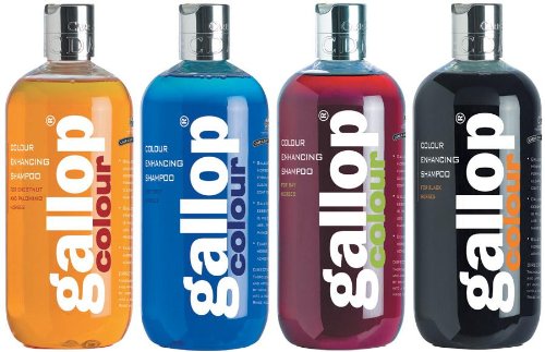 Gallop Colour Enhancing Horse Shampoo 500ml - Choose Bay, Black, Chestnut & Palomino Or Grey - PawsPlanet Australia