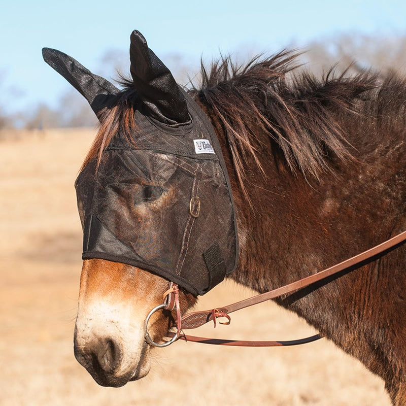 Cashel Quiet Ride Mule Fly Mask, Ears, Black, Mule Weanling Weanling Std Ear - PawsPlanet Australia