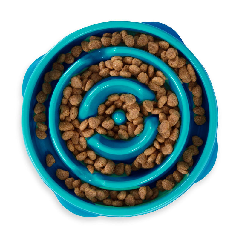 Outward Hound Fun Feeder Slo Bowl, Slow Feeder Dog Bowl, Medium/Mini, Turquoise - PawsPlanet Australia