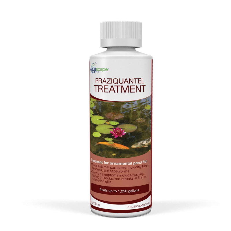 Aquascape 81041 Praziquantel Fish Treatment Liquid 250 g / 8.5 oz for Pond Water Feature - PawsPlanet Australia