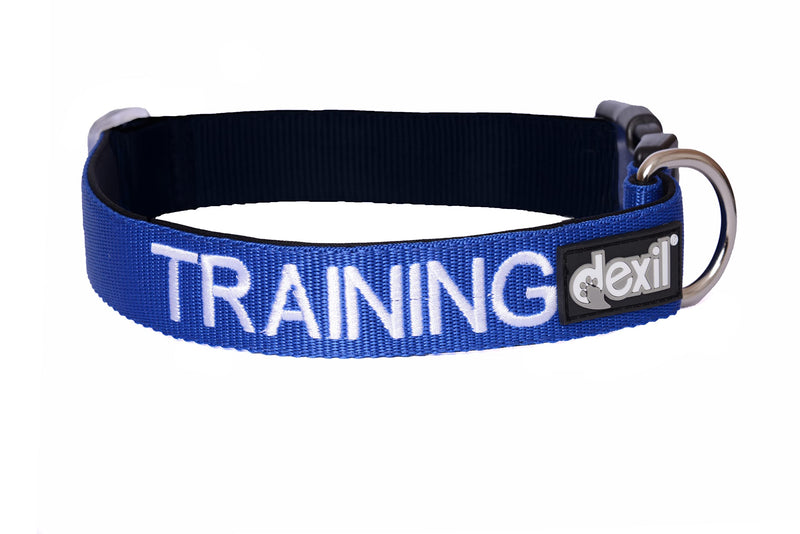 Training Blue Color Coded S M L XL Buckle Dog Collar Prevents Accidents by Warning Others of Your Dog in Advance (L-XL Collar 15-25" Lx1.5 W) - PawsPlanet Australia