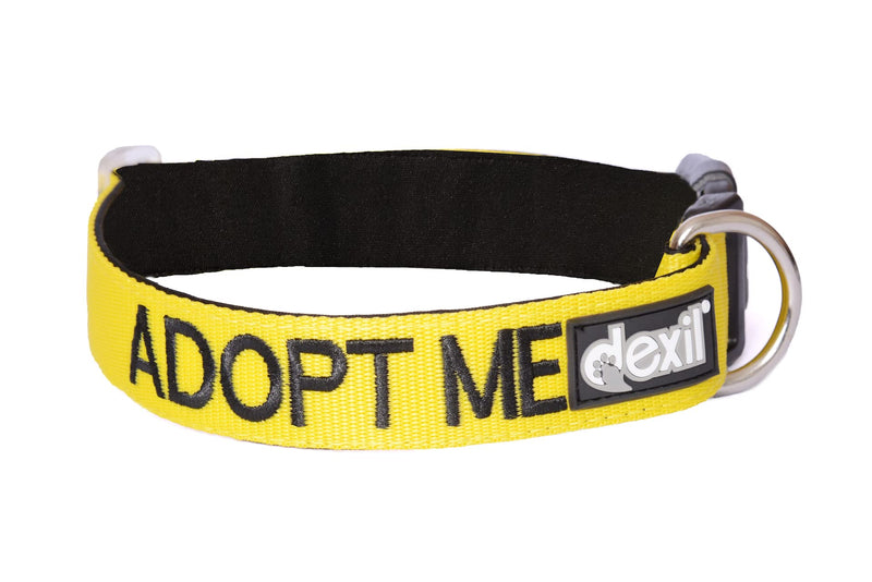 Adopt ME Yellow Color Coded S M L XL Buckle Dog Collars Donate to Your Local Charity (L-XL Collar 15-25" Lx1.5 W) - PawsPlanet Australia