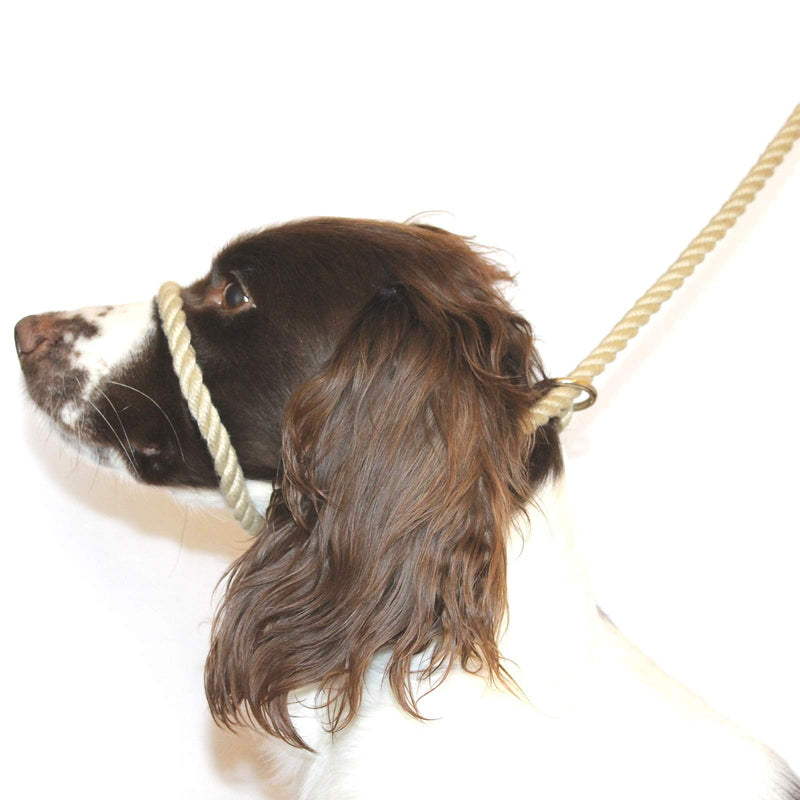 Dog & Field Figure of 8 Dog Leash - Natural. Cotton Rope Leash for Small, Medium & Large Dogs, One Size Fits All, No Collar Or Harness Needed. No Pull Dog Leash, Halter Lead for Dogs, 6.6 FT x 3/8" - PawsPlanet Australia