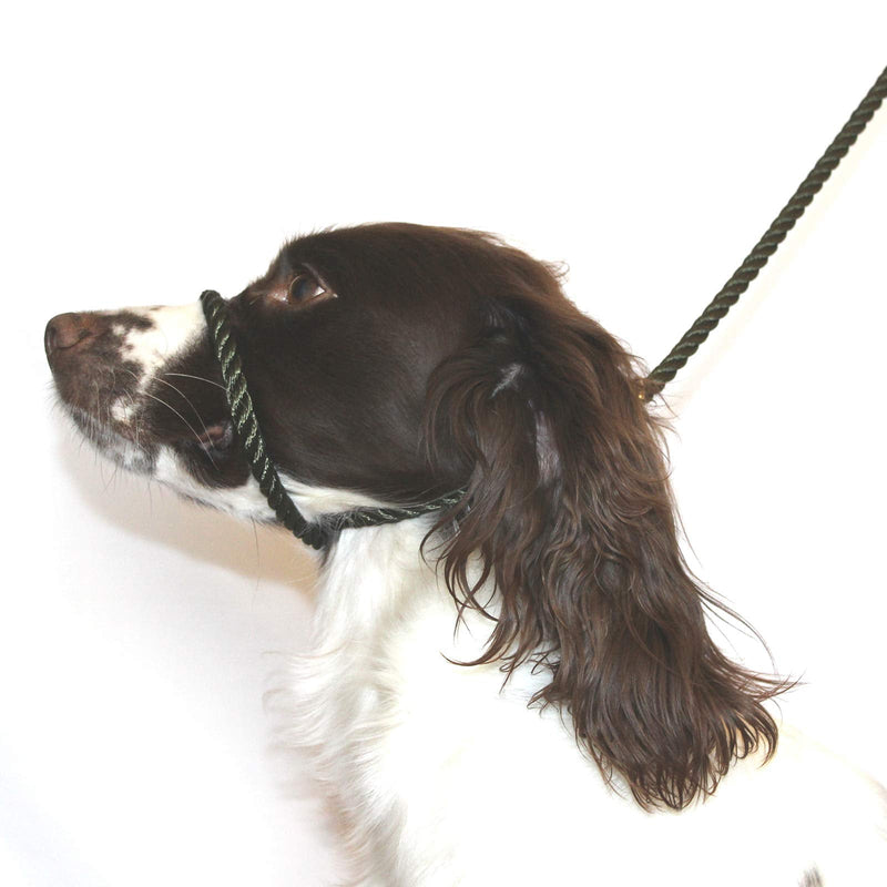 Dog & Field Figure of 8 Dog Leash, Olive Green. Cotton Rope Leash for Small, Medium & Large Dogs, One Size Fits All, No Collar Or Harness Needed. No Pull Dog Leash, Halter Lead for Dogs, 6.6 FT x 3/8" - PawsPlanet Australia