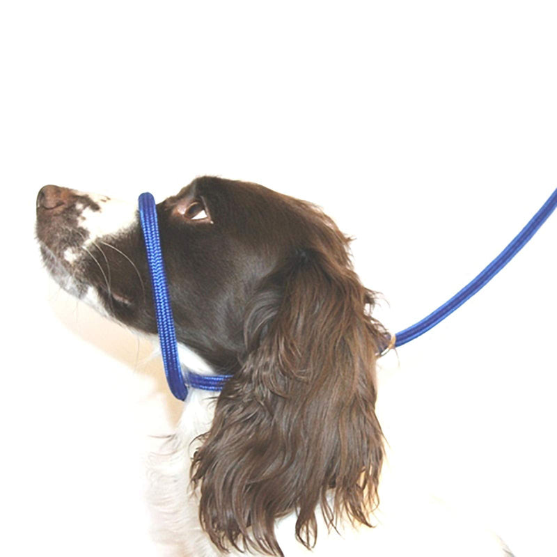 Dog & Field Figure of 8 Dog Leash - Blue. Nylon Rope Leash for Small, Medium & Large Dogs - One Size Fits All, No Collar Or Harness Needed. No Pull Dog Leash, Halter Lead for Dogs, 6.6 FT x 3/8" - PawsPlanet Australia