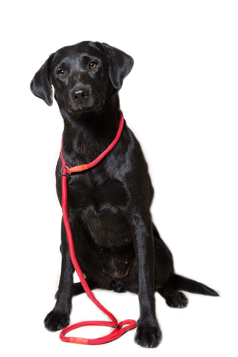 Dog & Field Deluxe Gundog Slip Leash - Red. Super Soft Braided Nylon Slip Leash for Dogs with Rubber Stopper, Easy to Slip On, No Collar Or Harness Needed. One Size Fits All Training Leash for Dogs - PawsPlanet Australia