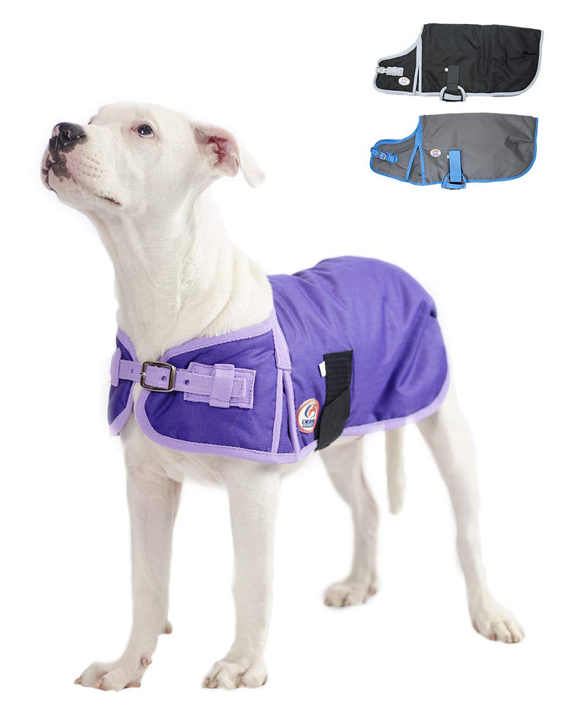 Derby Originals Horse Tough 600D Ripstop Waterproof Winter Dog Coat 150g Medium Weight 22 in Purple