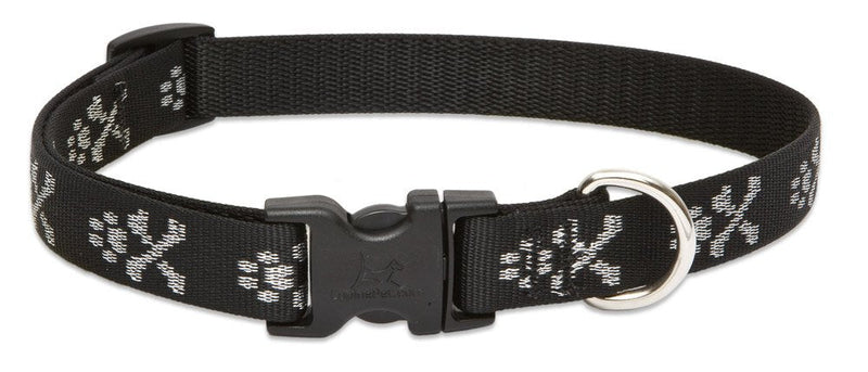 LupinePet Originals 3/4" Bling Bonz 15-25" Adjustable Collar for Large Dogs 3/4"W; 15-25" Neck - PawsPlanet Australia