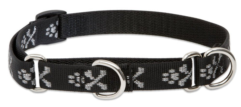 LupinePet Originals 3/4" Bling Bonz 10-14" Martingale Collar for Small Dogs 3/4"W; 10-14" Neck - PawsPlanet Australia