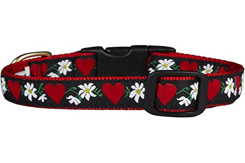Up Country Hearts & Flowers Dog Collar - X-Large - PawsPlanet Australia