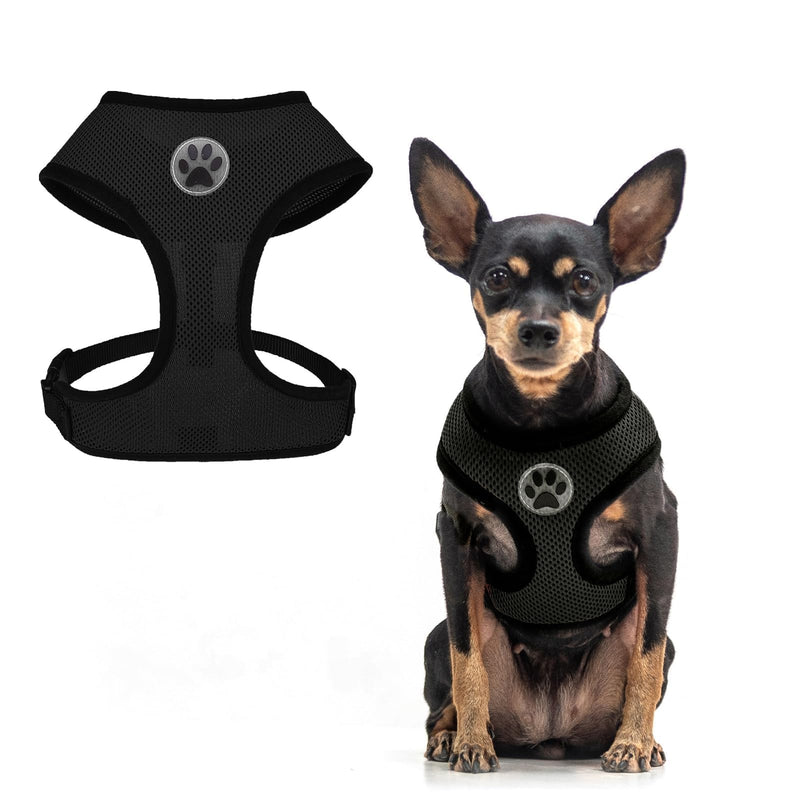 BINGPET Small Dog Harness - Breathable Mesh Puppy Cat Harnesses - No Pull Adjustable Dog Harness Dog Vest Harness for Small and Medium Dogs Black - PawsPlanet Australia