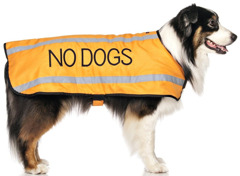 NO DOGS Orange (Not Good With Other Dogs) Warm Dog Coats S-M M-L L-XL Waterproof Reflective Fleece Lined Prevents Accidents By Warning Others of Your Dog in Advance (L-XL Back 23" (59cm)