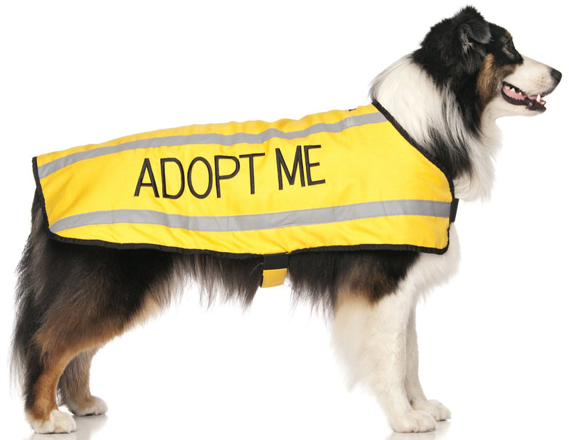Dexil Limited Adopt ME Yellow Warm Dog Coats S-M M-L L-XL Waterproof Reflective Fleece Lined Donate to Your Local Charity (L-XL Back 23"
