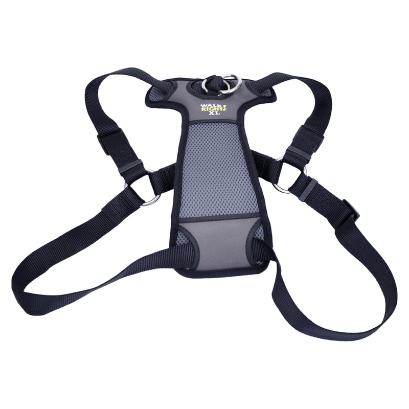 Coastal Pet Walk Right Front-Connect No-Pull Padded Dog Harness - Adjustable & Comfortable Dog Harness - Small & Large Breed Fit - Quality Pet Supplies - Black, LRG (26"-38") Large - 24"-38" girth - PawsPlanet Australia