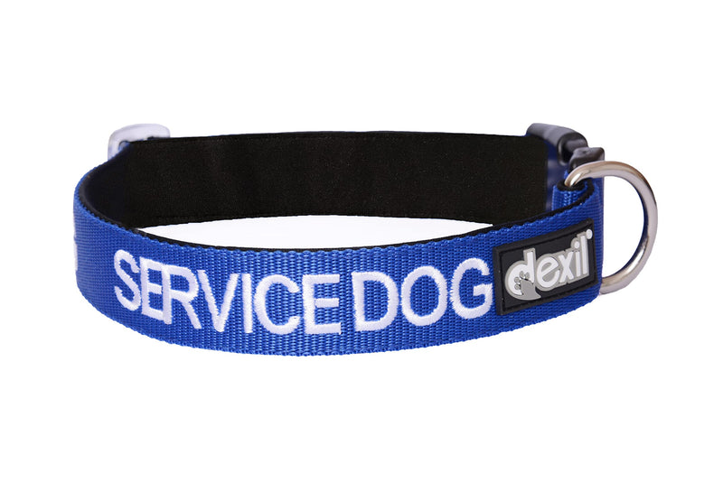 Dexil Service Dog Blue Color Coded S-M Buckle Dog Collar (Do Not Disturb) Prevents Accidents by Warning Others of Your Dog in Advance (10-17"L x 1"W) - PawsPlanet Australia