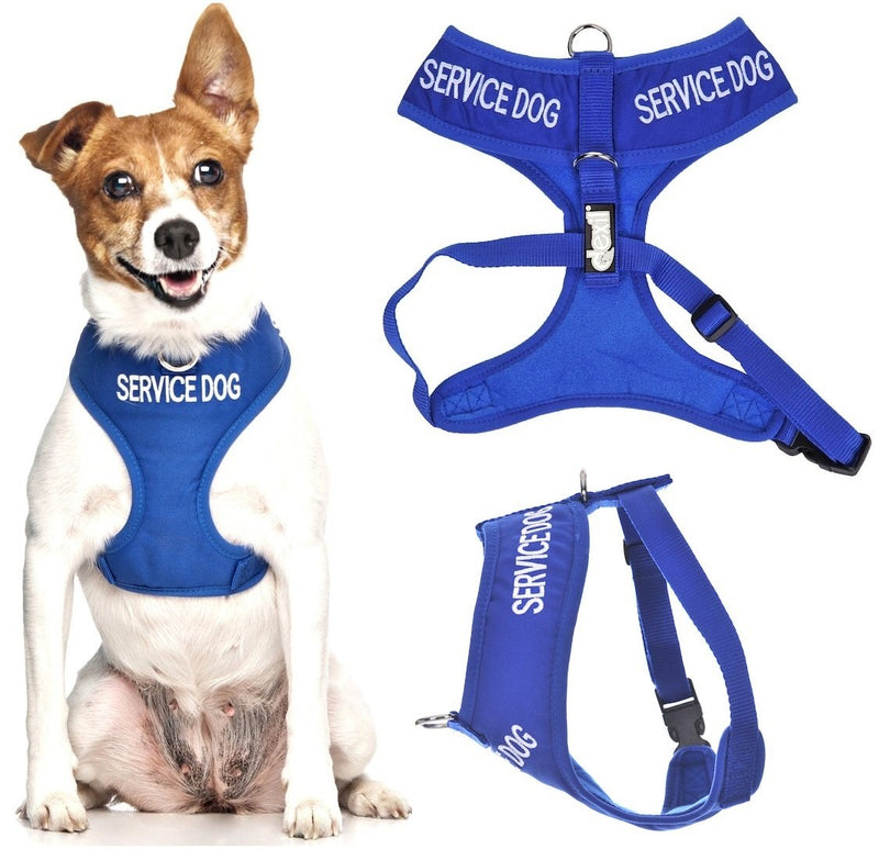 Dexil SERVICE DOG Blue Color Coded Non-Pull Front and Back D Ring Padded and Waterproof Vest Dog Harness PREVENTS Accidents By Warning Others Of Your Dog In Advance (Small, Blue) - PawsPlanet Australia
