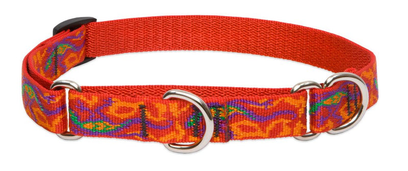 LupinePet Originals 3/4" Go Go Gecko 14-20" Martingale Collar for Medium and Larger Dogs 3/4"Width; 14-20" Neck - PawsPlanet Australia