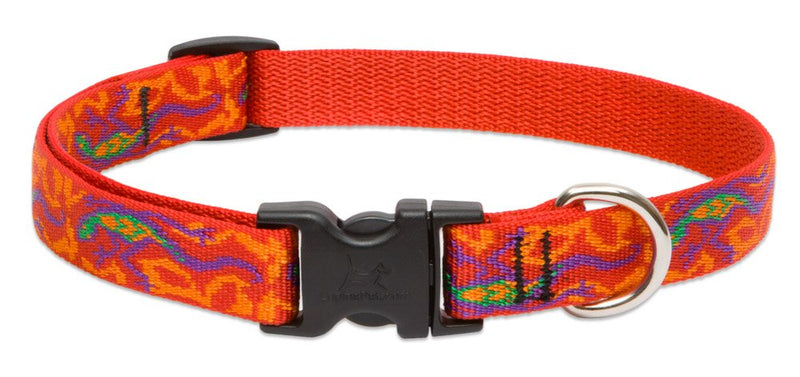 Lupinepet Originals 3/4" Go Go Gecko 9-14" Adjustable Collar For Small Dogs 3/4"Width; 9-14" Neck - PawsPlanet Australia