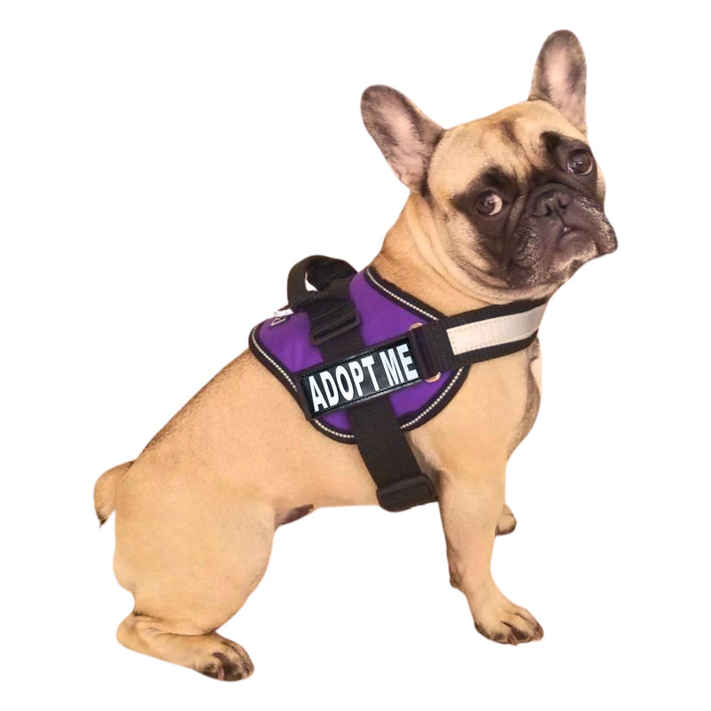 Doggie Stylz Adopt ME Nylon Dog Vest Harness with 2 Reflective Removable Patches - Ideal Dog Harness for Small Dogs and Dog Harness for Large Dogs, Versatile Pet Safety Accessory Girth 19-25" Purple - PawsPlanet Australia