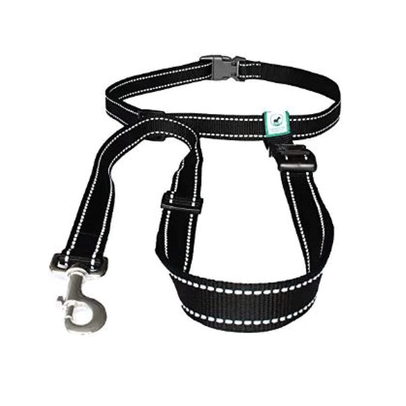 Running Leash for Dogs - Hands Free Dog Leash for Training, Hiking & Walking - Non Bungee for More Control - Around The Waist Dog Leash Belt for Small Medium or Large Dogs - PawsPlanet Australia