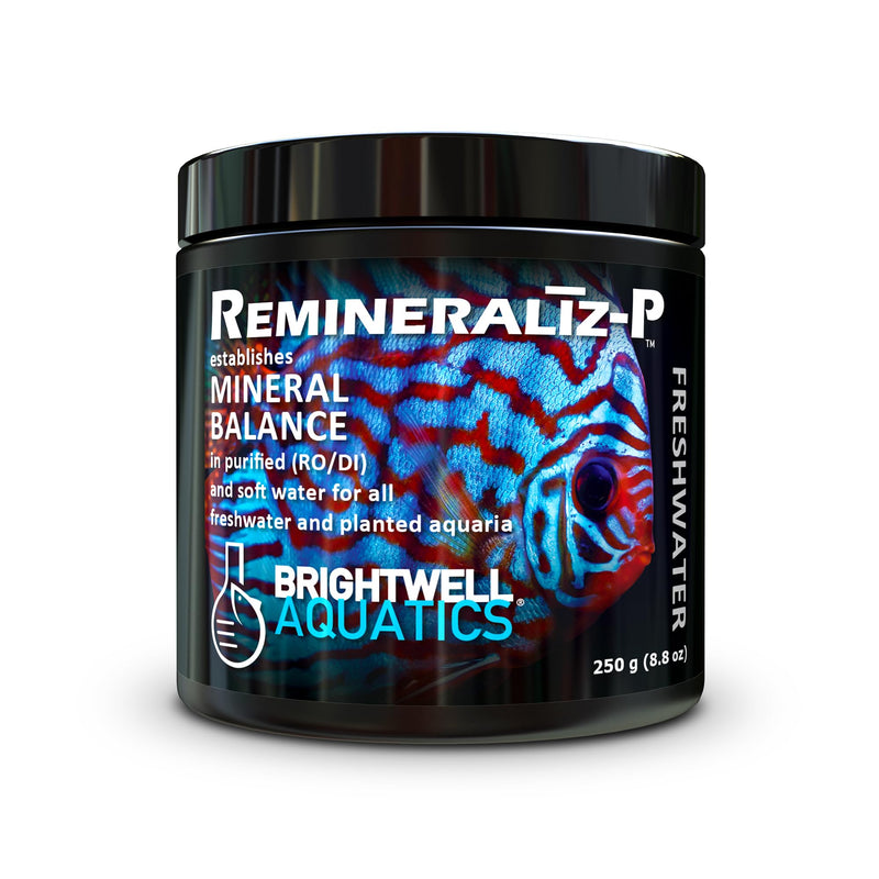 Brightwell Aquatics Remineralīz-P – Restores GH & TDS for Freshwater Aquariums, Replenishes Essential Minerals for RO & Distilled Water, Supports Fish & Plant Health, 250g 250-g - PawsPlanet Australia