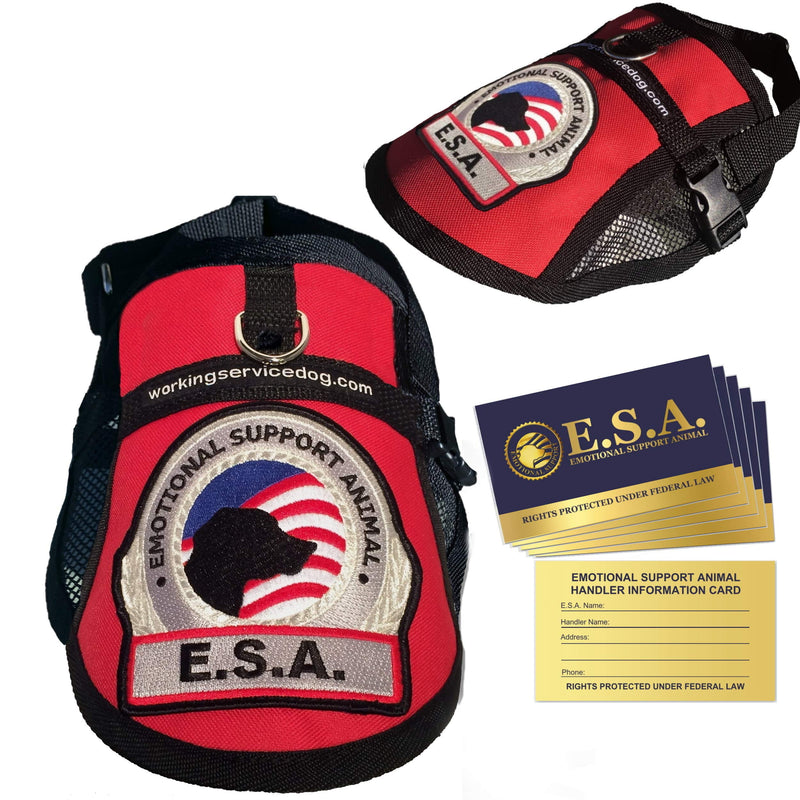 Premium Emotional Support Dog Vest | ESA Dog Vest | Mesh Cooling Panel | Emotional Support Animal Harness | Includes 5 Federal Law ESA Handout Cards (14" - 17" Girth, Red) Fits 14" - 17" Girth - PawsPlanet Australia