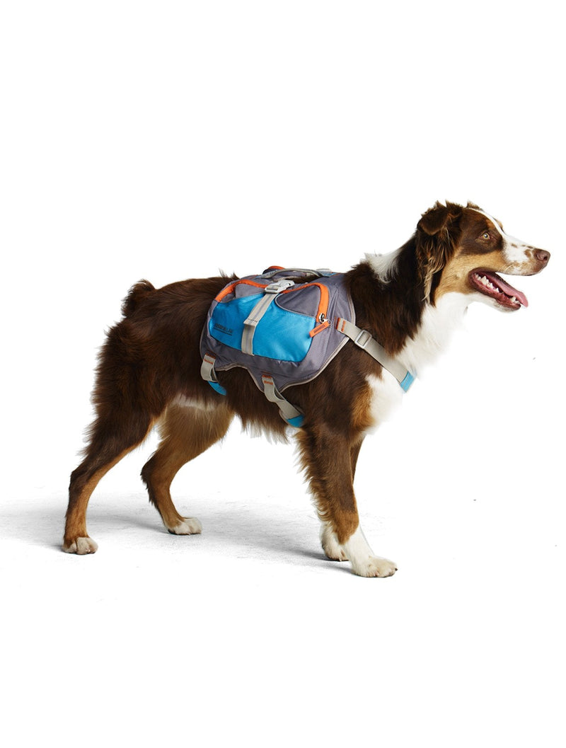 Cesar Millan Dog Backpack (Small) Small Blue - PawsPlanet Australia