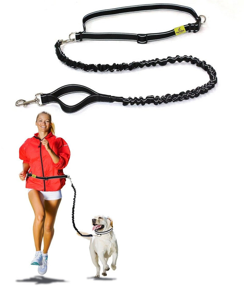 Hertzko Hands Free Dog Leash Great Running Leash for m=Medium to Large Dogs - Strong, Durable and Weather Resistant Nylon Bungee Leash (36 inches Bungee) Standard- 36 inch Bungee - PawsPlanet Australia
