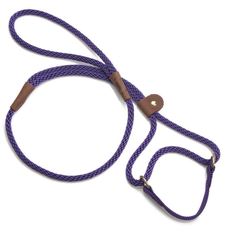Mendota Pet Dog Walker, Martingale Style Leash - Leash & Collar Combo, Made in The USA - Purple, 3/8 in x 6 ft - for Small/Medium Breeds - PawsPlanet Australia