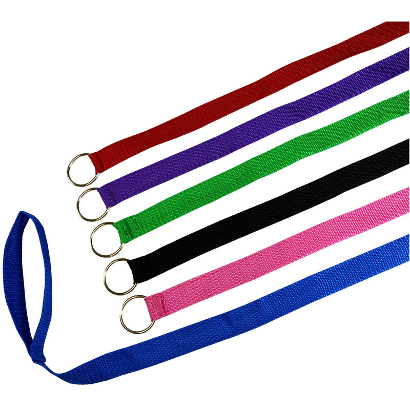 Downtown Pet Supply - 6ft Dog Kennel Slip Lead - Veterinarian, Grooming, Daycare & Rescue Supplies - One Size Leads for Dogs Bulk - 1" Thick 24 Pack - PawsPlanet Australia