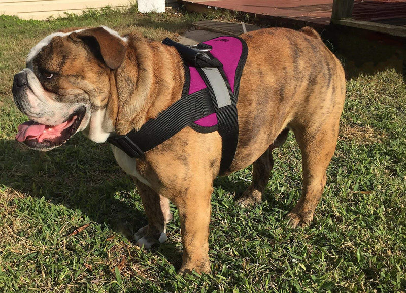 HDP Big Dog Soft No Pull Harness Size:Large Color:Pink Large Pink - PawsPlanet Australia