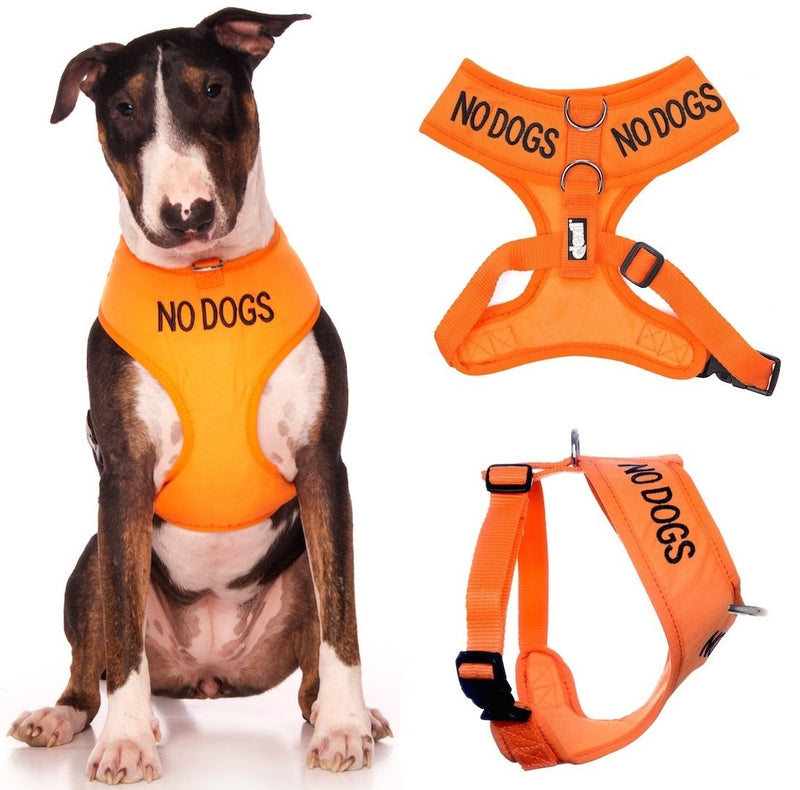 Dexil Limited NO Dogs (Not Good with Other Dogs) Orange Color Coded Non-Pull Front and Back D Ring Padded and Waterproof Vest Dog Harness Prevents Accidents by Warning Others of Your Dog in Advance Large Harness 22-32inch Chest/Girth - PawsPlanet Australia