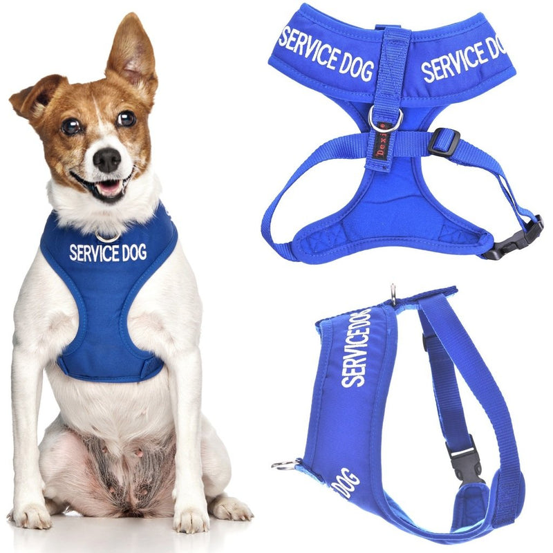 Dexil SERVICE DOG Blue Color Coded Non-Pull Front and Back D Ring Padded and Waterproof Extra Small Dog Harness Prevents Accidents By Warning Others Of Your Dog In Advance - PawsPlanet Australia
