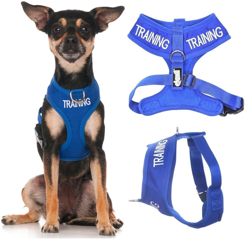 Training (Dog in Training/Do Not Disturb) Blue Color Coded Non-Pull Front and Back D Ring Padded and Waterproof Vest Dog Harness Prevents Accidents by Warning Others of Your Dog in Advance (XS) - PawsPlanet Australia