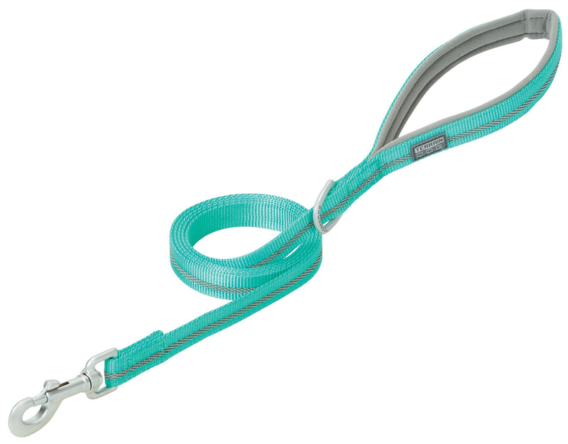 Terrain D.O.G. Reflective Neoprene Lined Dog Leash Mint 6-feet L x 1-inch W - PawsPlanet Australia