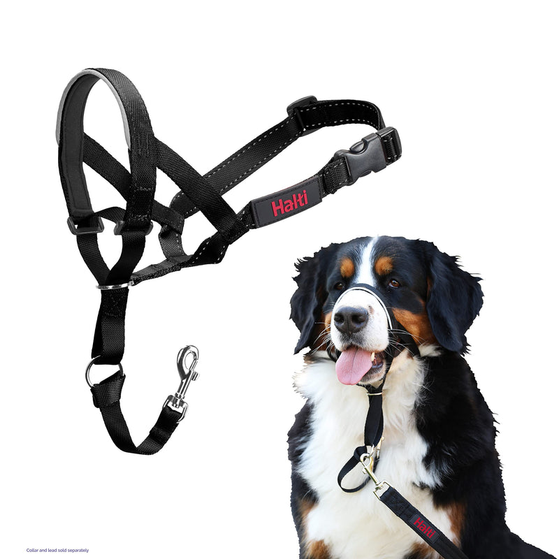 HALTI Headcollar - To Stop Your Dog Pulling on the Leash. Adjustable, Reflective and Lightweight, with Padded Nose Band. Dog Training Anti-Pull Collar for Large Dogs (Size 5, Black) - PawsPlanet Australia