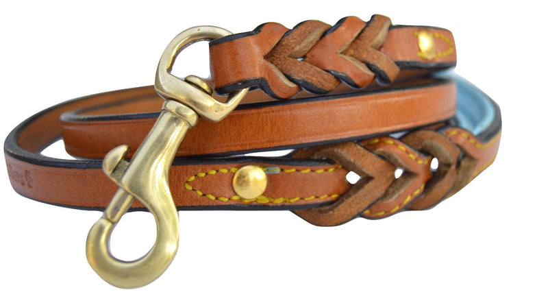 Leather Braided Dog Leash, Tan with Teal Padded Handle, 4ft Long x 1/2 Inch Wide, for Small Dogs - PawsPlanet Australia